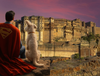 upcoming-events-jodhpur-august