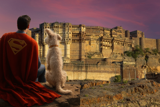 upcoming-events-jodhpur-august